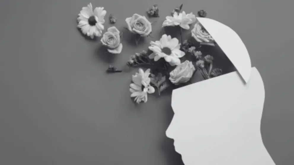 Mental health for healthcare feature new