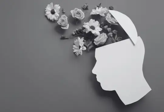 mental health act webinar mds feature (1)